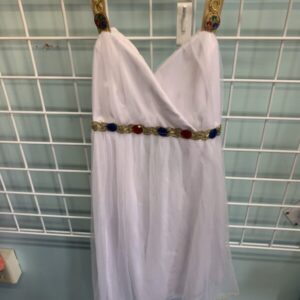 Costume: Size 04/06 Youth- Goddess/Princess