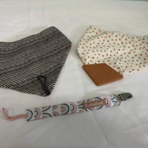 Gear: Drool Bandana Bib & Paci Clip Set