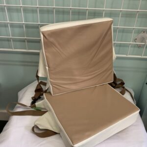 Gear: Booster Seat