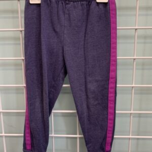 Size 2T - Blue/Purple Jogger Pant