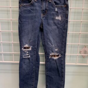 Size 6 - Blue/Plaid Slim Distressed Stretch Jean