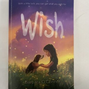 Chapter Book - Wish